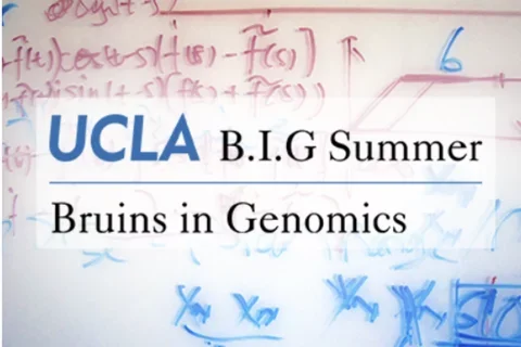 BIG Summer Website Photo