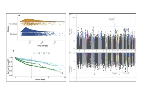 Bipolar conversion and GWAS figures