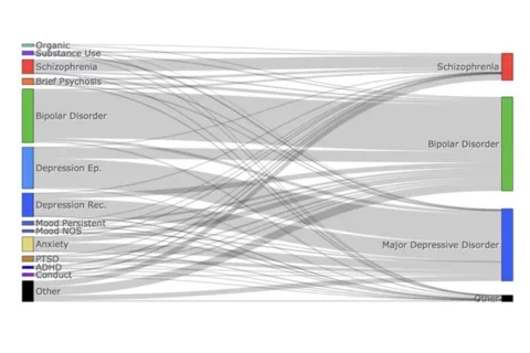 Sankey diagram shows diagnosis switches.