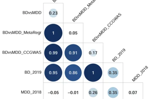Genetic Correlations
