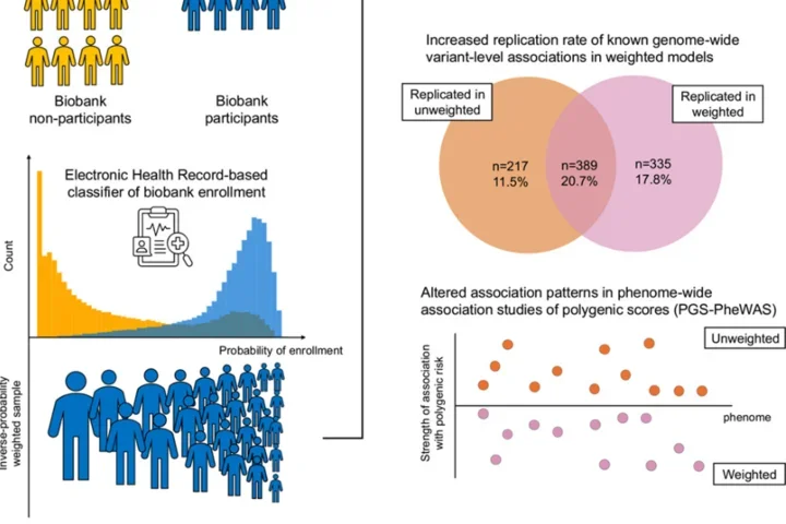 Graphical abstract