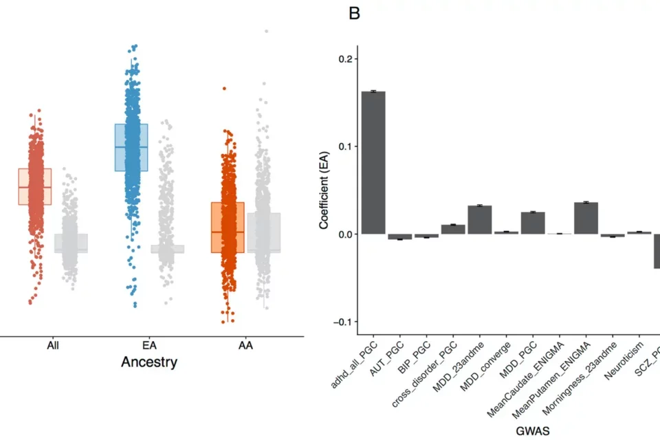 Risk of developing severe mental illness in youth chart.