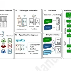 Schematic depiction of the development and evaluation of the NLP algorithms.